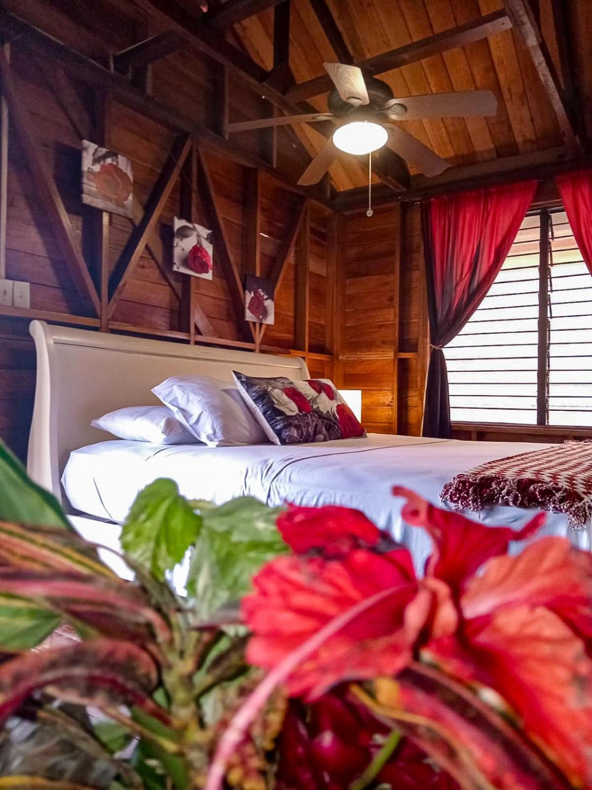 Villa Bahia Del Sol โบกัสทาวน์ ภายนอก รูปภาพ